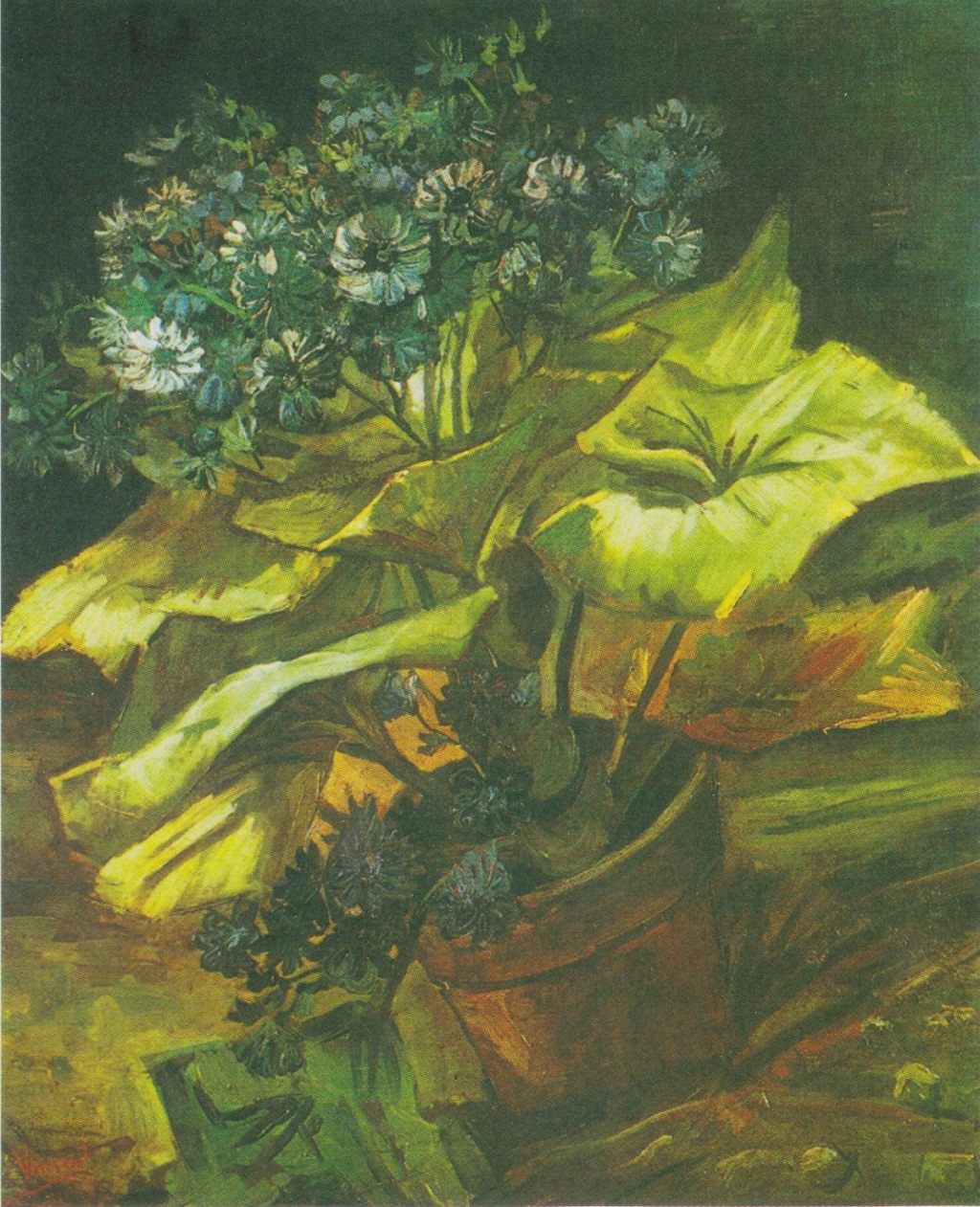 紫菀/梵高作品赏析
