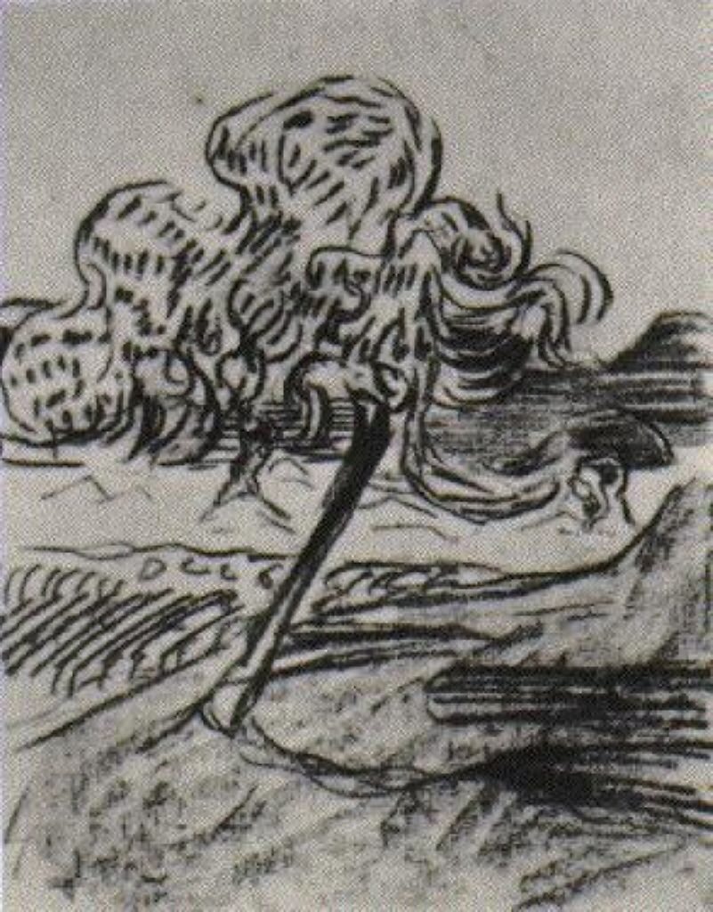 果树素描赏析